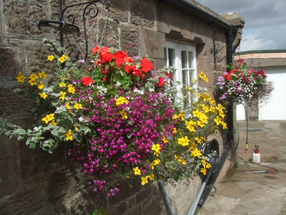The Old School House Bed & Breakfast Berwick Upon Tweed Dış mekan fotoğraf